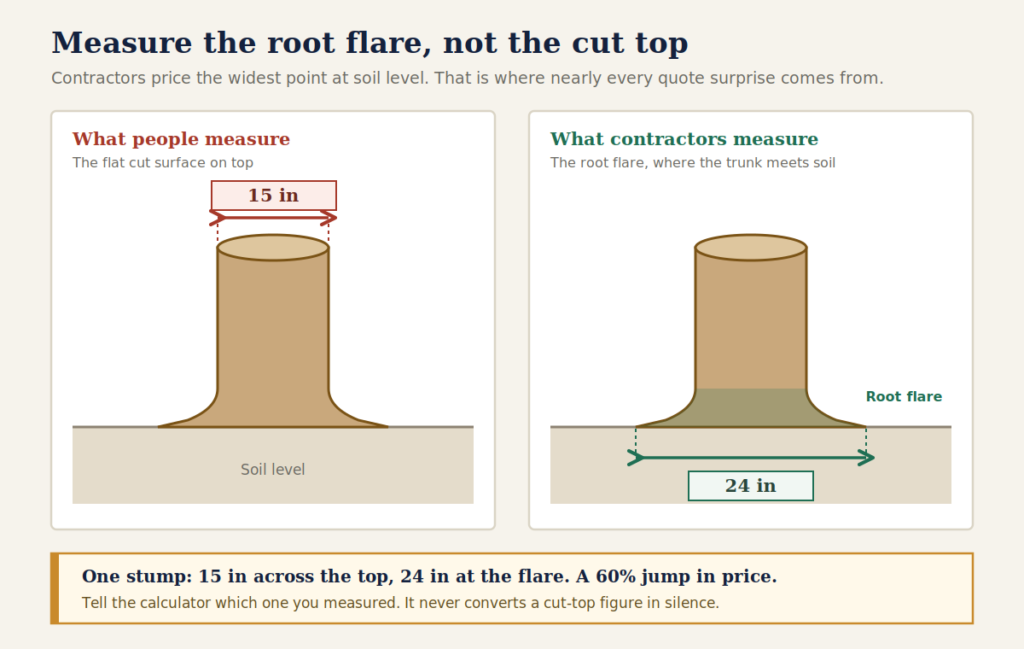 Labeled stump grinding cost calculator diagram comparing a 15 inch cut top measurement with the wider 24 inch root flare measurement contractors price on